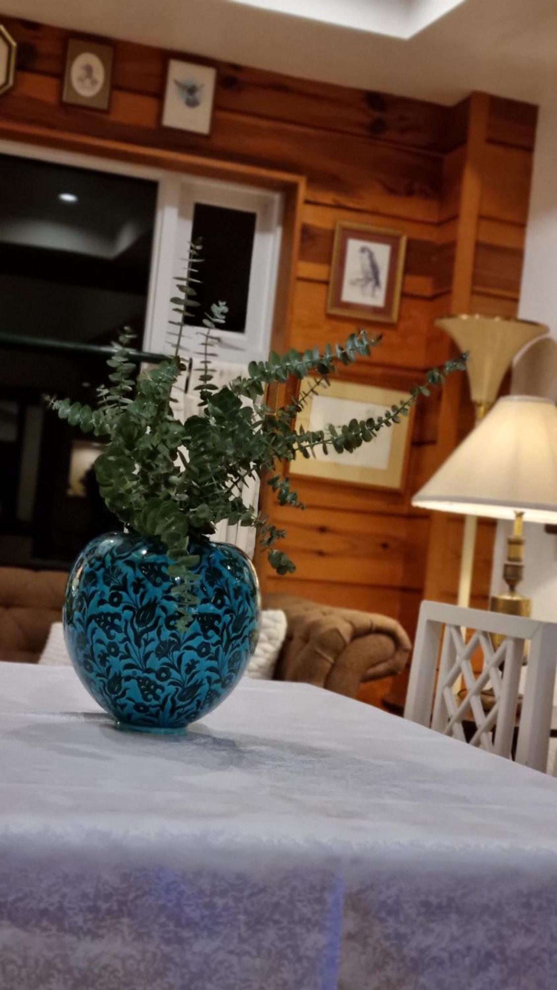 Guest Haven Chalet Baguio Bed And Breakfast Baguio City Ngoại thất bức ảnh
